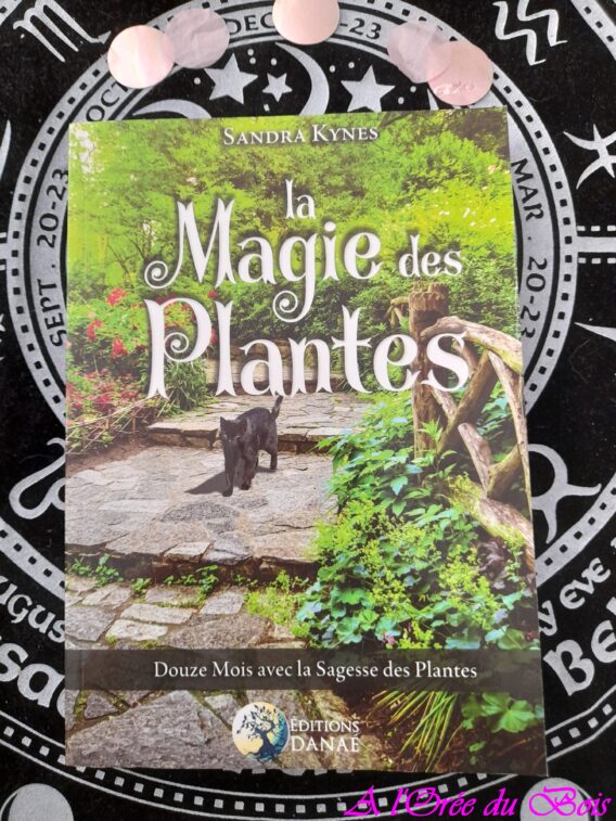 magie plantes