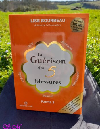 la guérison des 5 blessures lise bourbeau