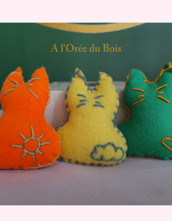 P'tit chat bouillotte