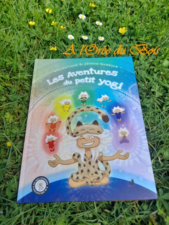 Les Aventures du Petit Yogi