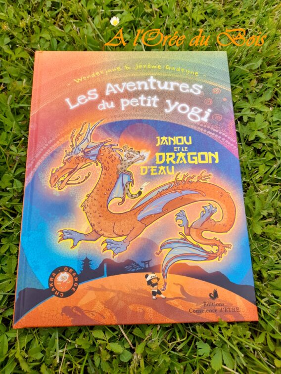 Les Aventures du Petit Yogi