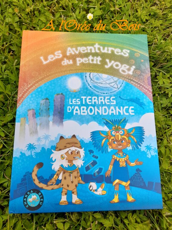 Les Aventures du Petit Yogi