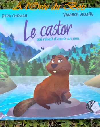 Le castor qui rêvait d'avoir un ami Papa Chouch Yannick Vicente Yo éditions