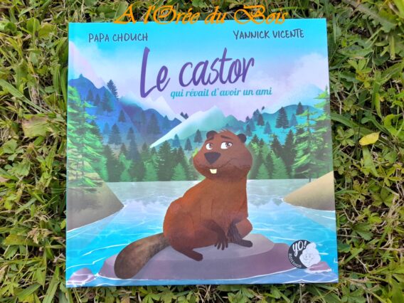 Le castor qui rêvait d'avoir un ami Papa Chouch Yannick Vicente Yo éditions