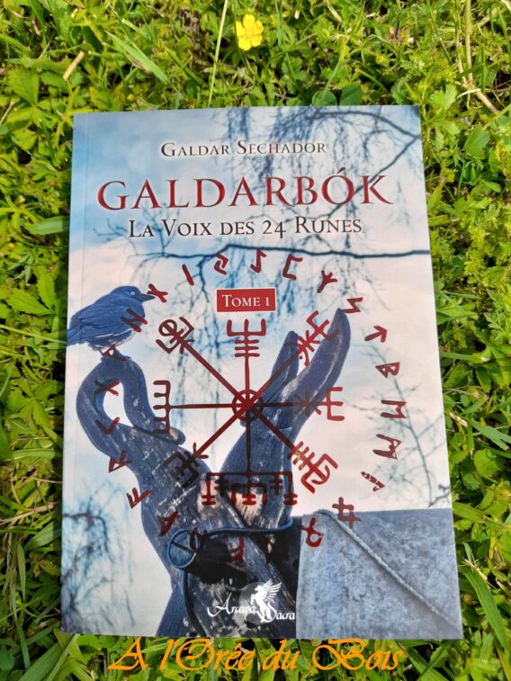 Galdarbok Galdar Sechador